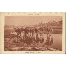 CARTE POSTALE ANCIENNE: ALGERIE, 1930. COLOMB BECHAR, LA RIVIERE.