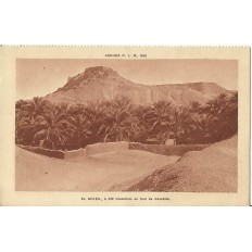 CARTE POSTALE ANCIENNE: ALGERIE, 1930. EL GOLEA, A 290 Km. AU SUD DE GHARDAIA.