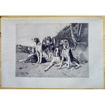 CHIENS DE CHASSE, GRAVURE Signée L.QUARANTE, d'après Charles HERRMAN-LÉON (1838-