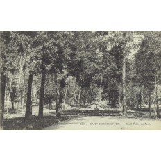 CPA - CAMP d'OBERHOFFEN - Rond Point Du Parc - Années 1920