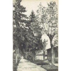 CPA - CAMP d'OBERHOFFEN - Une Allée Du Parc - Années 1920
