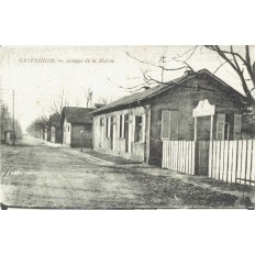 CPA - GRIESHEIM - Avenue De La Marne- Années 1920