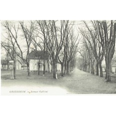 CPA - GRIESHEIM - Avenue Galliéni - Années 1920