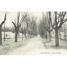 CPA - GRIESHEIM - Rue De Rabat - Années 1920