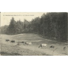 CPA: MONTFORT-SUR-MEU, La Vallée de Pontallié, VACHERS. Années 1900.