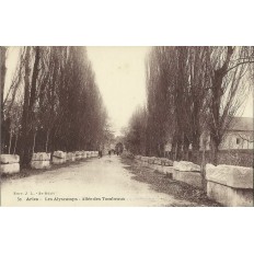 CPA: ARLES, LES ALYSCAMPS, L'ALLEE, ANIMEE, vers 1910.