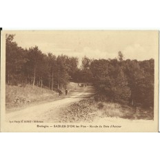 CPA: SABLES D'OR Les Pins, Ronde du Bois d'Amour, vers 1920