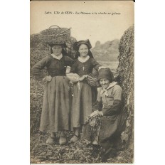 CPA: ILE de SEIN, Les Iliennes à la récolte au GOEMON, vers 1910