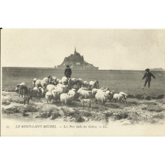 CPA: LE MONT-SAINT-MICHEL, Les Prés Salés des Grèves, vers 1900