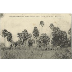 CPA: AFRIQUE CENTRALE NYASALAND, Vicariat Apostolique du Shiré-Père de la Cie de Marie, 1900