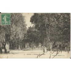 CPA: ALGERIE, COLEA, Avenue de la Gare, années 1900