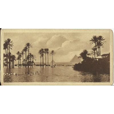 CPA: EGYPTE, Paysage près des Pyramides, années 1900