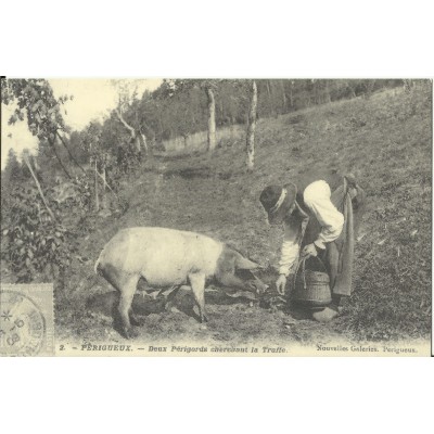 CPA: (REPRO). PERIGUEUX, Deux Périgords cherchant la Truffe, vers 1900.