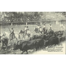 CPA: (REPRO). STE-MARIES-de-la-MER, Gardians et Gardianetos, vers 1900.