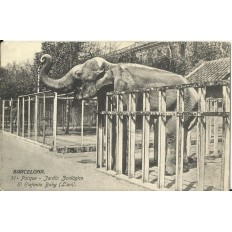 CPA: BARCELONA, Parque Zoologico, Elefante Baby, années / anos 1930