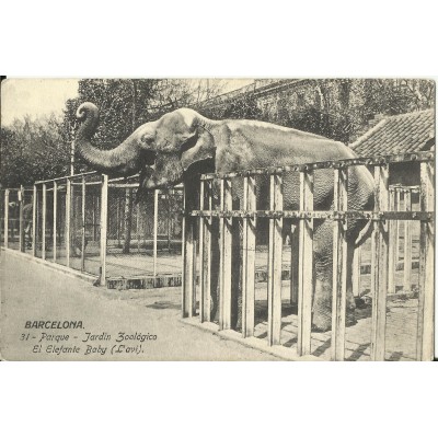 CPA: BARCELONA, Parque Zoologico, Elefante Baby, années / anos 1930