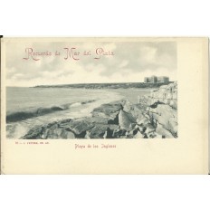 CPA: ARGENTINE, Mar del Plata, Playa de los Ingleses, années / anos 1900