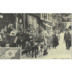 CPA: (REPRO). LILLE, Attelage de Chiens, vers 1910.