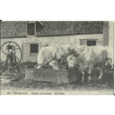 CPA: (REPRO). En BEAUCE, Rentrée à la Ferme, vers 1900