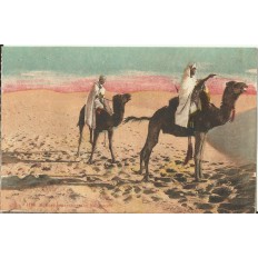 CPA: MAROC ou ALGERIE, Méharistes traversant les Dunes, années 1910