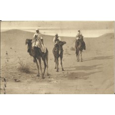 CPA: ALGERIE, Touaregs dans le Sahara, années 1900