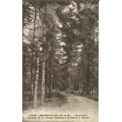 CPA: BADONVILLER, Chemin de la Vierge Clarisse (Pierre à Cheval), 1910