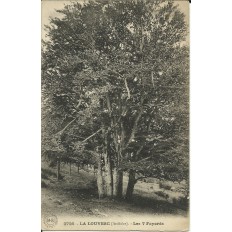 CPA: LA LOUVESC, Les 7 Fayards, vers 1910