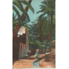 *CPA MAROC, ANNEES 1910, SCENES ET TYPES, PAYSAGE DU SUD.