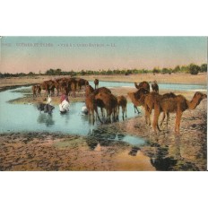 *CPA MAROC, ANNEES 1910, SCENES ET TYPES, VUEA L'OUED BAYECH.