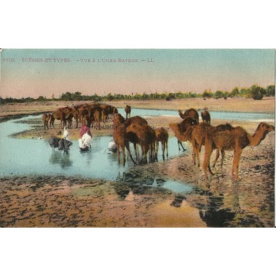 *CPA MAROC, ANNEES 1910, SCENES ET TYPES, VUEA L'OUED BAYECH.