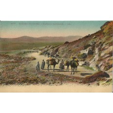 *CPA MAROC, ANNEES 1910, SCENES ET TYPES,PAYSAGE SAHARIEN.