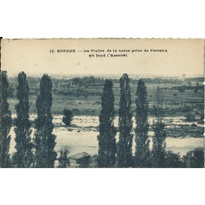 CPA: ROANNE, La Plaine de la Loire prise de Perreux, années 1950.