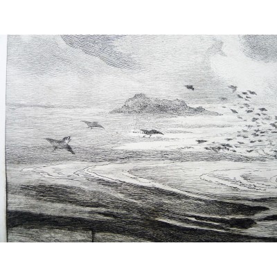 Félix BRACQUEMOND (1833-1914), NUEE D'OISEAUX AU MONT SAINT-MICHEL, Eau-Forte.