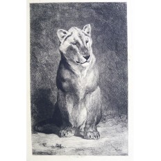 Auguste André LANÇON (1836-1887), LION ASSIS, EAU-FORTE.