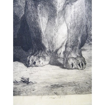 Auguste André LANÇON (1836-1887), LION ASSIS, EAU-FORTE.