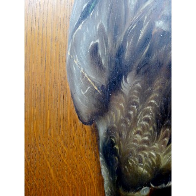 Arsène Symphorien SAUVAGE (XIX), STILL LIFE, HUNTING TROPHY (DUCK).