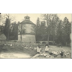CPA - LORREZ-le-BOCAGE, Basse-cour du Chateau - Années 1900