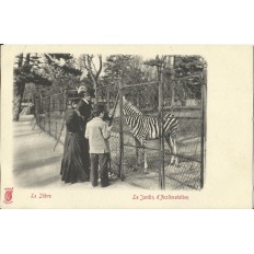 CPA: PARIS, Jardin d'acclimatation, Le Zèbre - Années 1900