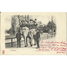 CPA: PARIS, Jardin d'acclimatation, L'Eléphant - Années 1900