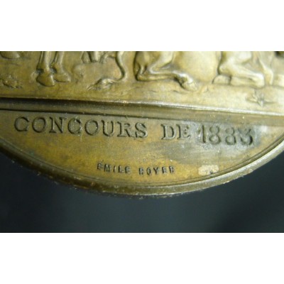 MEDAILLE CUIVRE, ALGERIE. EMILE ROYER sc. ORAN. ALGER. CONSTANTINE. CONCOURS DE 1883.