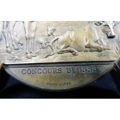 MEDAILLE CUIVRE, ALGERIE. EMILE ROYER sc. ORAN. ALGER. CONSTANTINE. CONCOURS DE 1883.