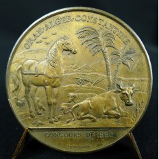 MEDAILLE CUIVRE, ALGERIE. EMILE ROYER sc. ORAN. ALGER. CONSTANTINE. CONCOURS DE 1883.